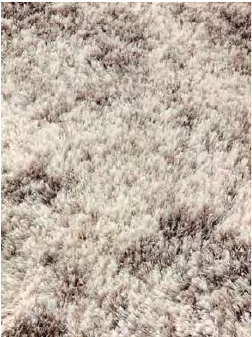 Alfombra HIMALAYA 2575 101