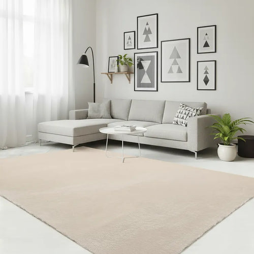 Alfombra  Moderna Unicolor Lavable Antideslizante Pelo Corto y Suave 120x170cm Beige