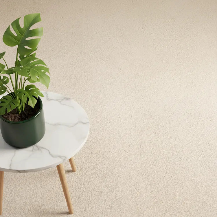 Alfombra  Moderna Unicolor Lavable Antideslizante Pelo Corto y Suave 120x170cm Beige